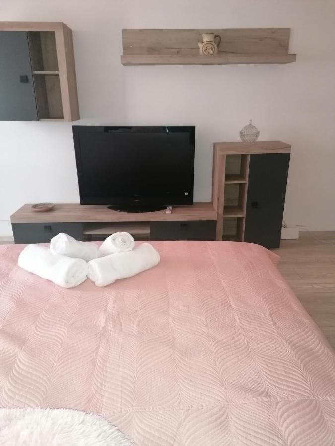 Garsoniera P2 Apartment Craiova Ngoại thất bức ảnh
